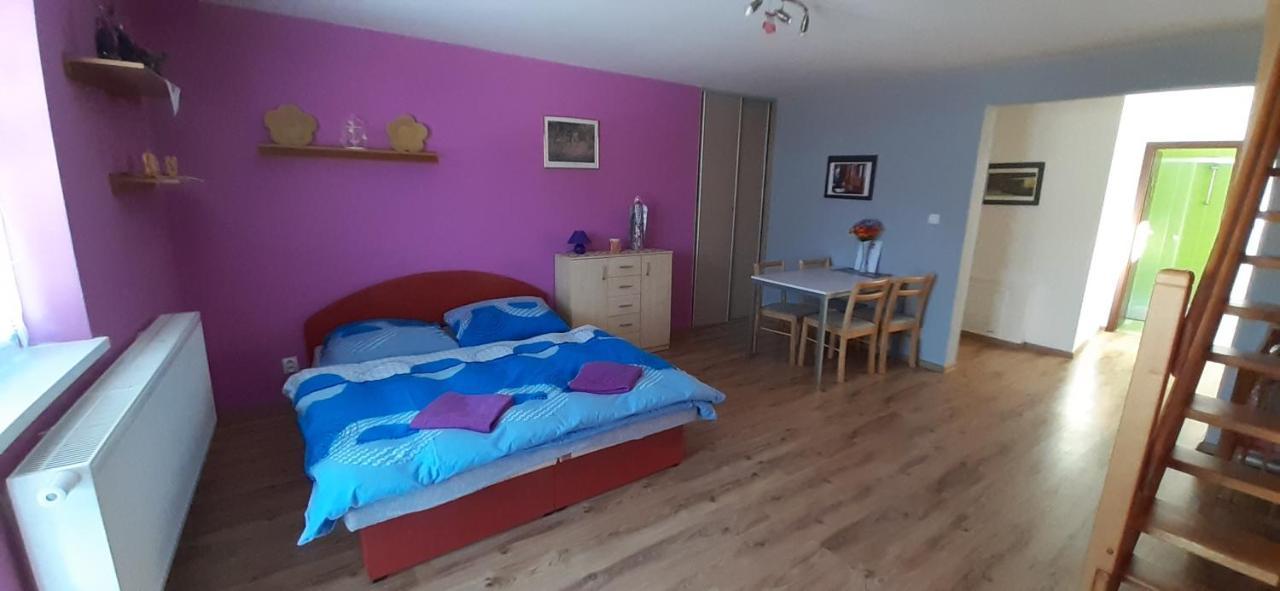 Privat Bene Daire Vyšné Ružbachy Oda fotoğraf