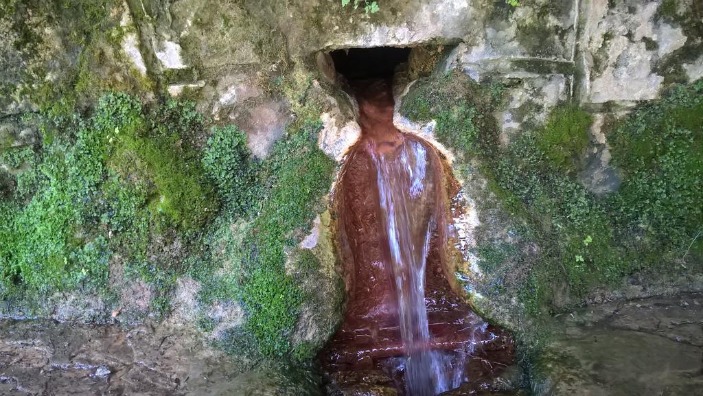 Privat Bene Daire Vyšné Ružbachy Dış mekan fotoğraf